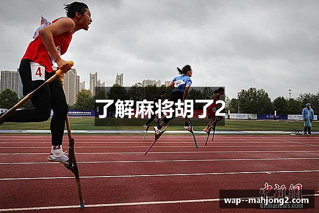 了解麻将胡了2
